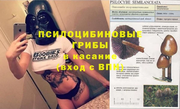 apvp Алексеевка