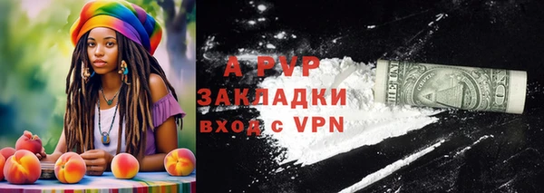 стафф Алзамай