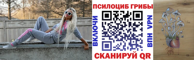 Псилоцибиновые грибы Cubensis  Николаевск-на-Амуре 